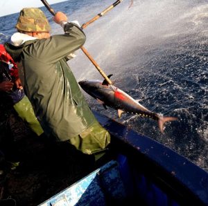 Quel matériel pour la pêche à la traîne hauturière ?