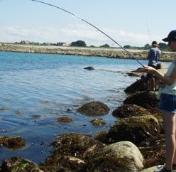 modele-materiel-peche-en-bord-de-mer