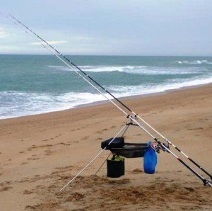 type-materiel-peche-surfcasting