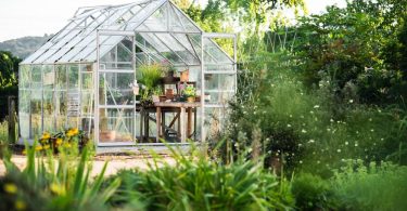 organisation Interieure de la serre de jardin pour le potager